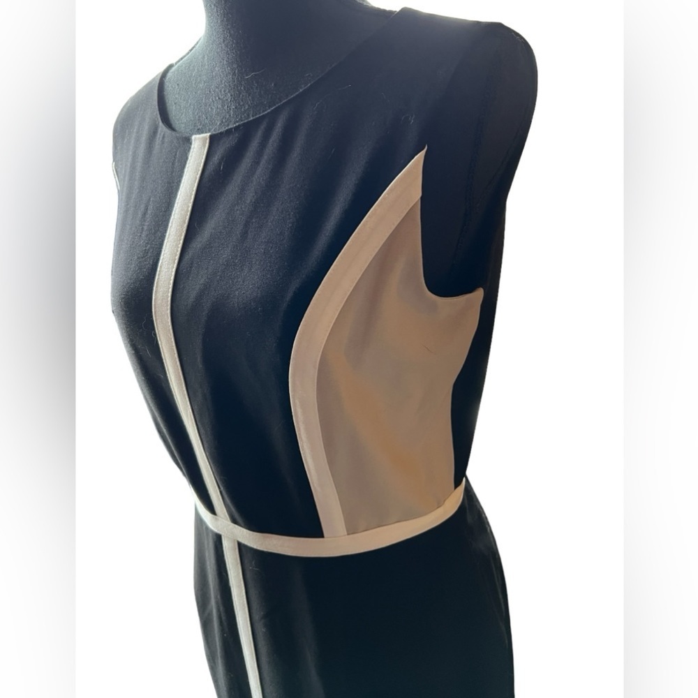 Calvin Klein Neutral Tone Shift Dress - Picture 4 of 7
